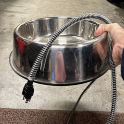 Heated Water Bowl For Dogs 