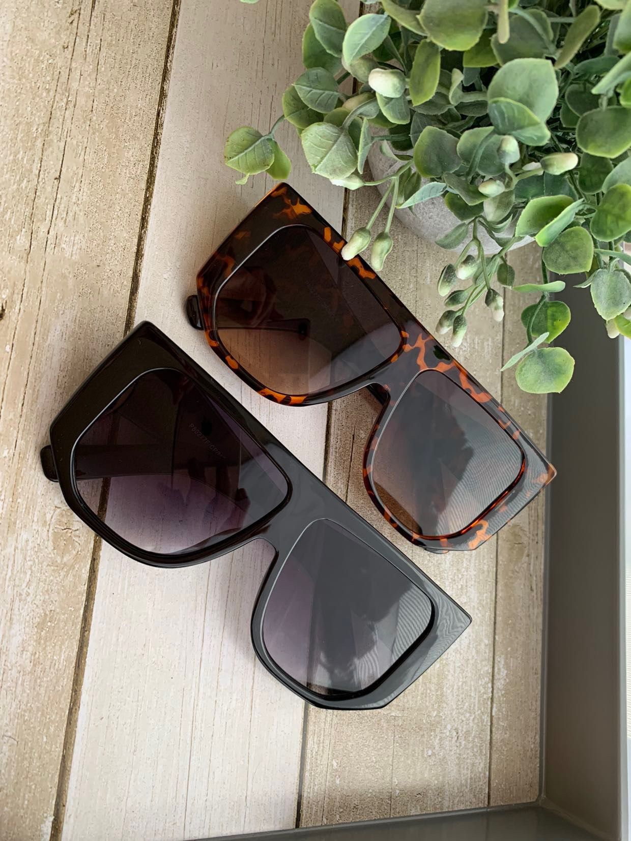 Sunglasses 