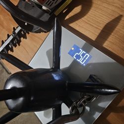 Boat anchor 25lb Richter brand 