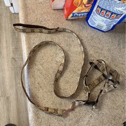 Brand New Small Dog Harness And Leash 