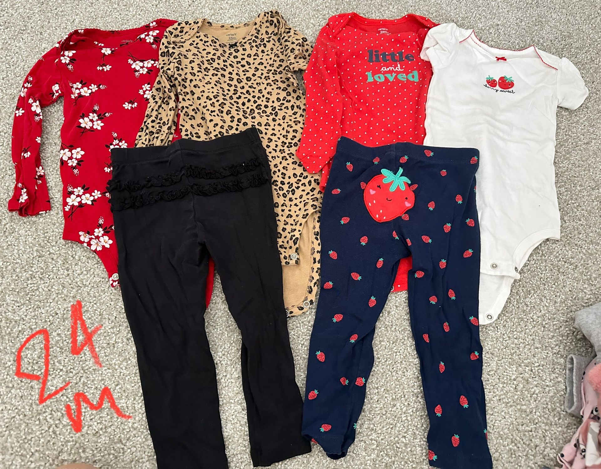 Baby Girls 24 Month Clothing Lot
