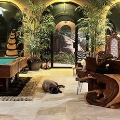 Indoor Tall Palm Trees 