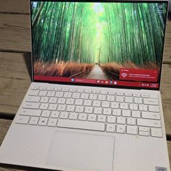 Dell XPS 13 9300 i7 16GB Ram 1TB M.2 Drive
Laptop