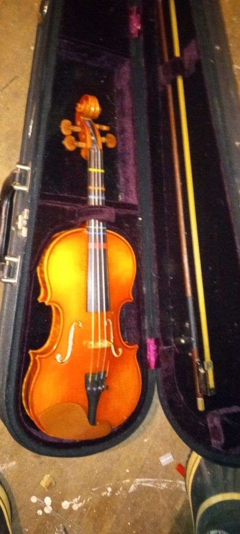 Violin