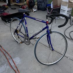 Schwinn Passage Bike