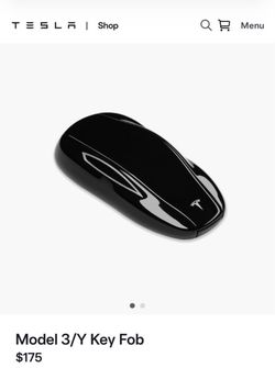 Tesla Key Fob