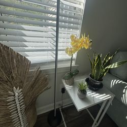 Govee Led Floor Lamp 