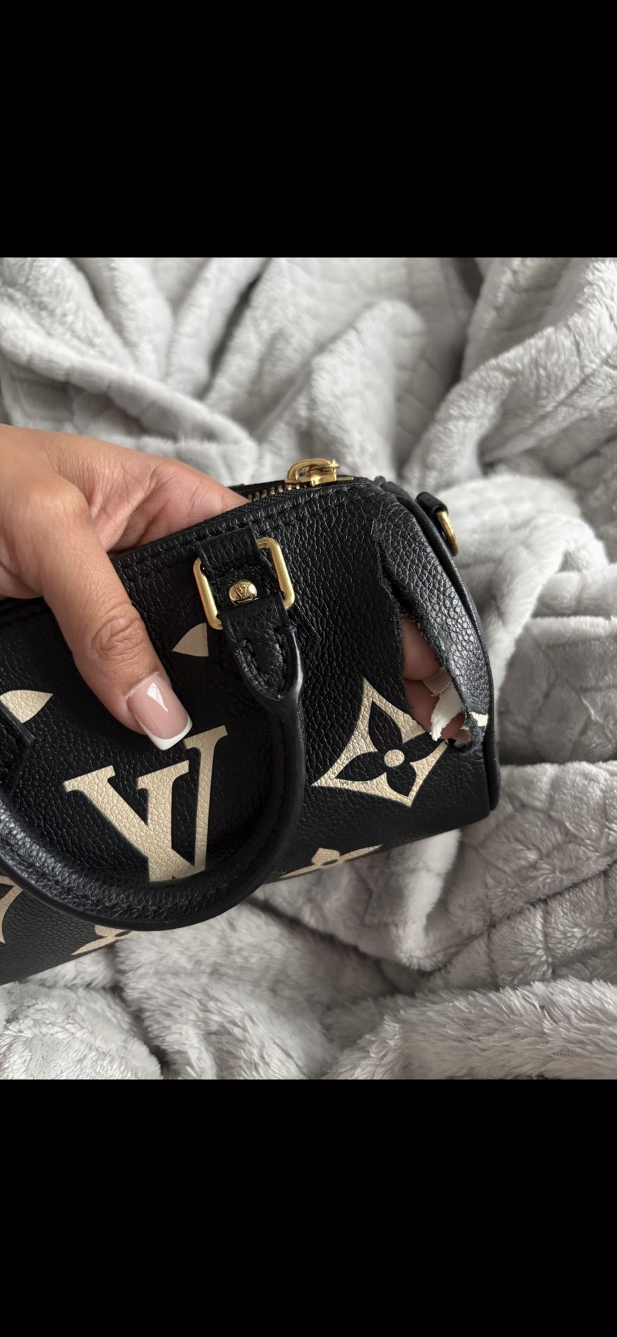 Louis Vuitton Monogram Nano