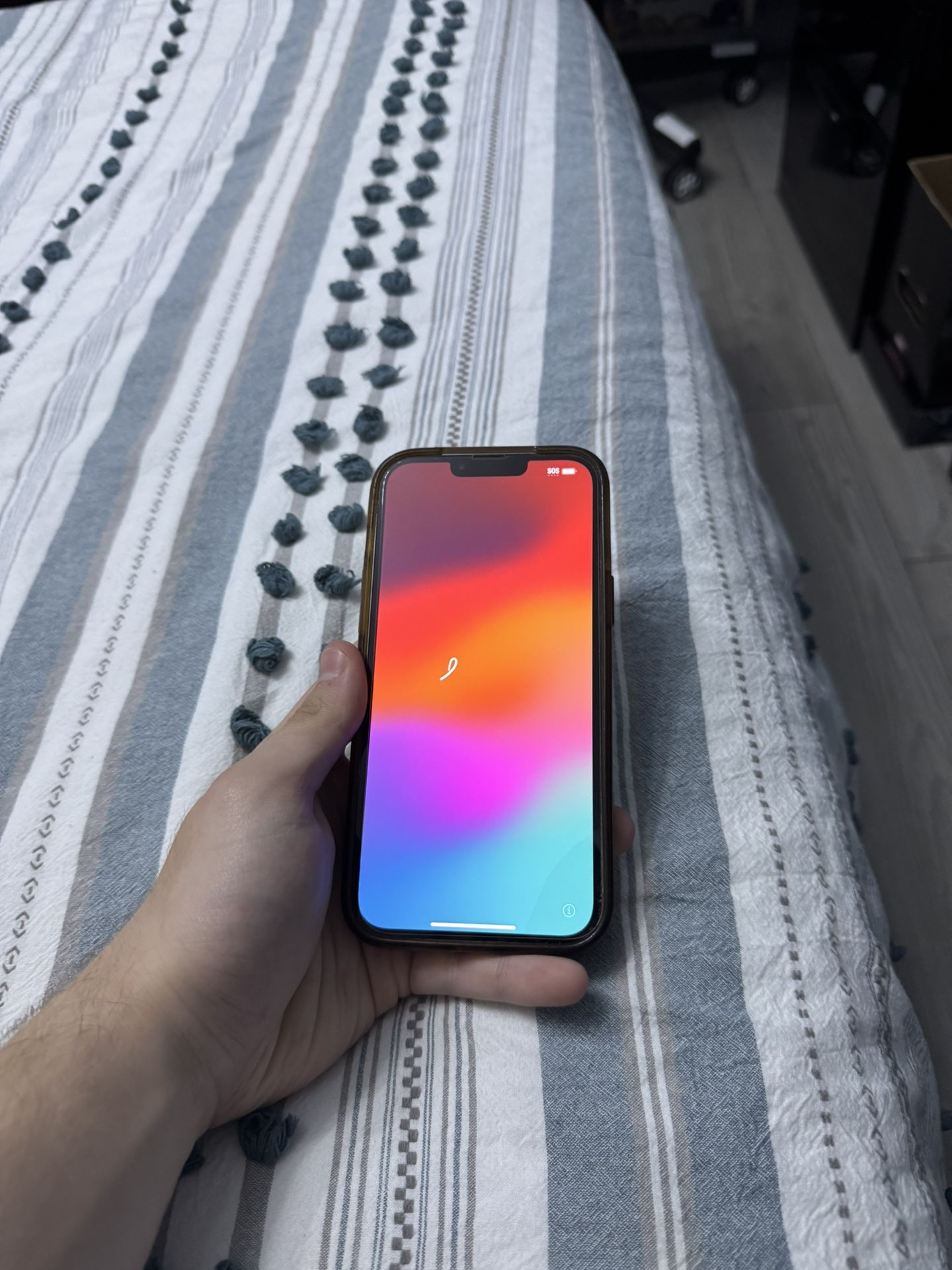 iPhone 13 Pro Max With Phone Case