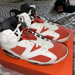 Jordan 6 Retro Gatorade
