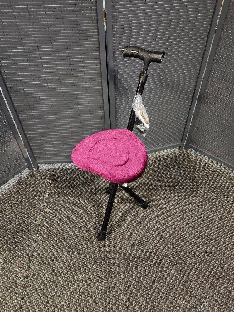 Folding Cane Chair