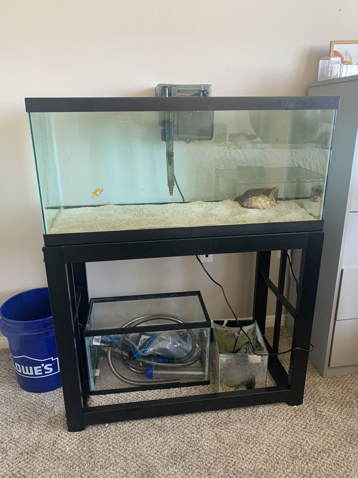 40 Gal Tank, Filter, And Stand (No Fish)