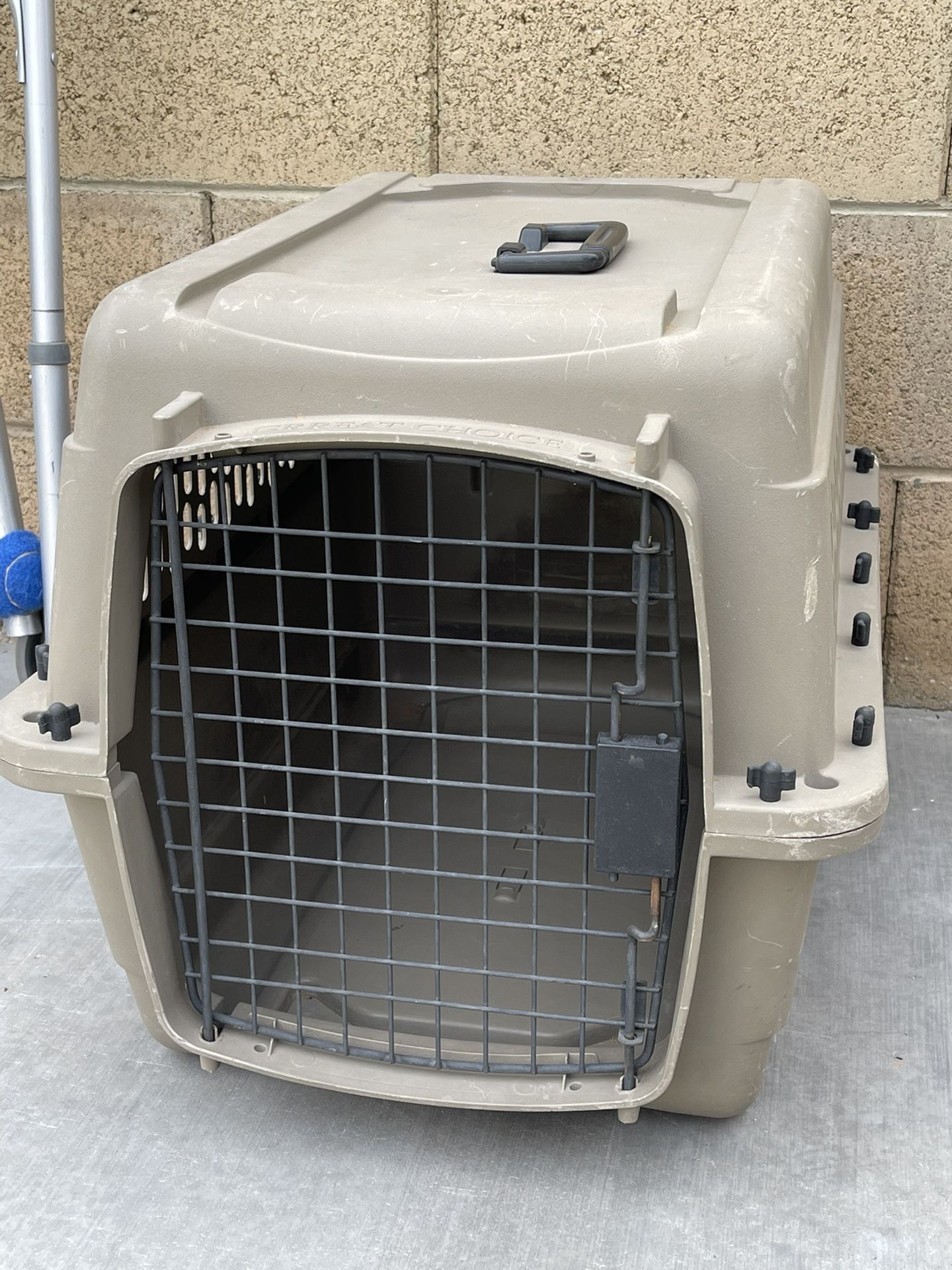 Dog Kennel 