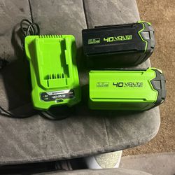 Greenworks Charger And 40 Volt Lithium Battery 