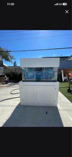 70 gallon saltwater tank