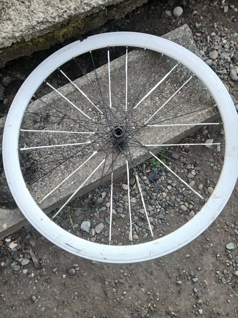 Tub Full Of Bike Parts