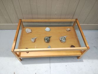 🌊 HAVERTYS Coastal Glass-Top Display Coffee Table – Includes Real Conch Shells & Crystal Stones! 🌊