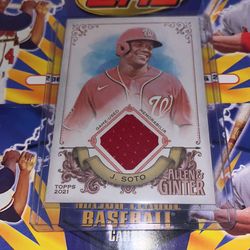 Game Relic Juan Soto 