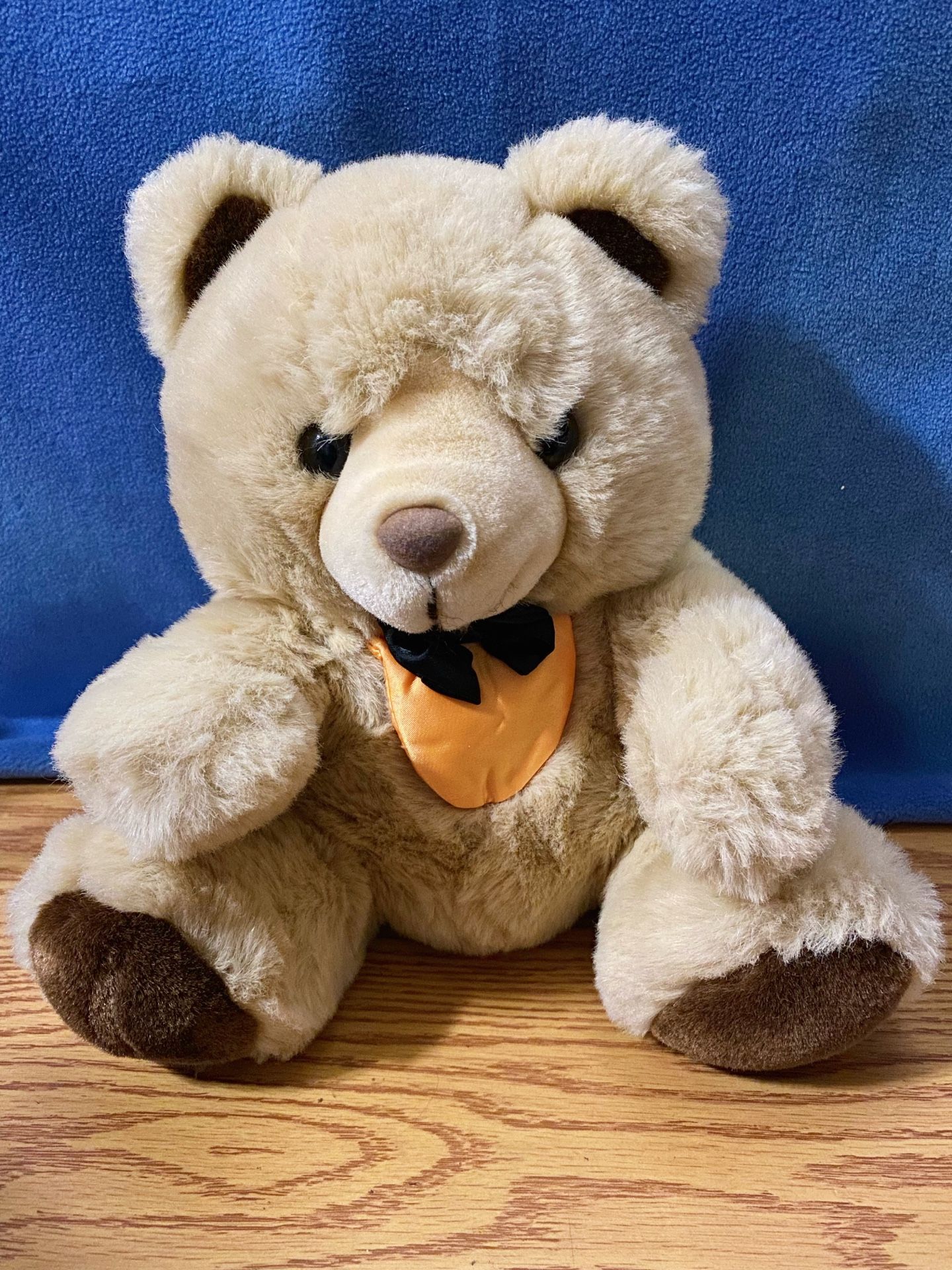 Vintage Plush Teddy Bear (1990s)