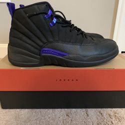 Jordan 12 Dark Concord (Size 11.5)