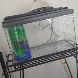 Terrarium Stand + Light 