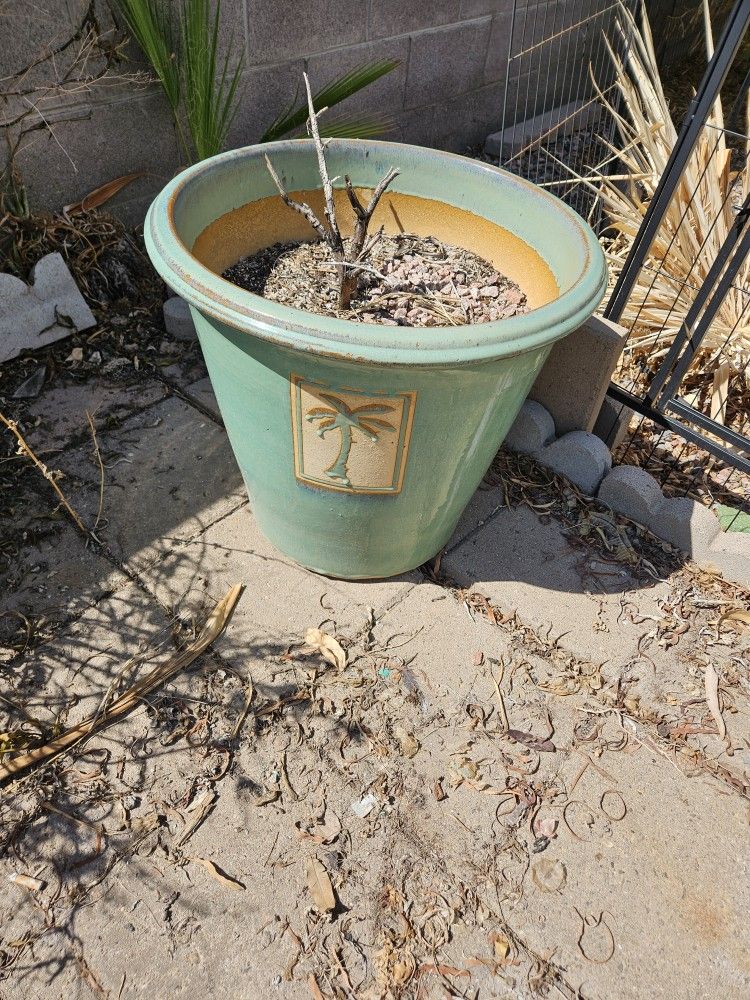 Flower Pots