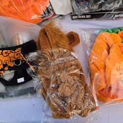 Pet Costumes Halloween  New 