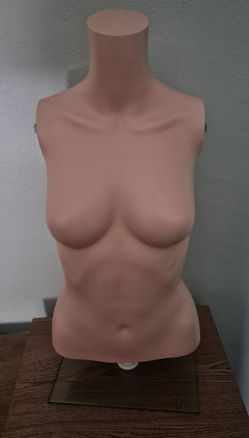 Female Mannequin Torso