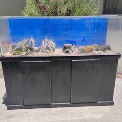 100 Gallon Acrylic Aquarium With Stand 