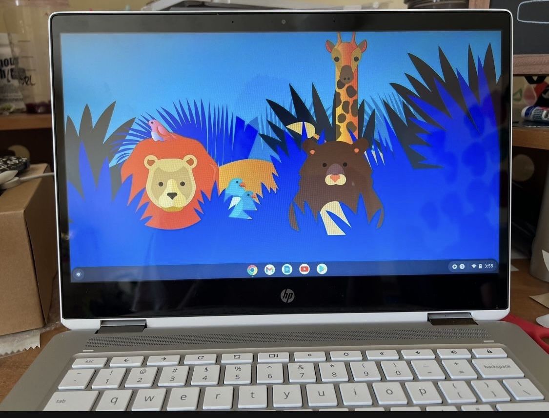 HP -2-in-1 14 “Touchscreen Chromebook”