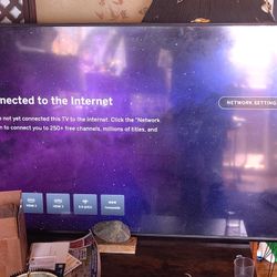 65" Vizio Fly Screen Smart Tv