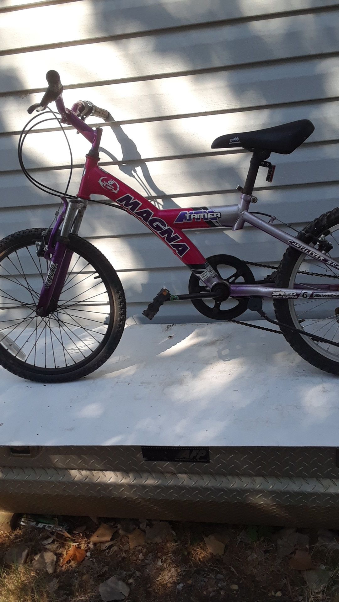 Magna Bike_ Mountain Tamer series