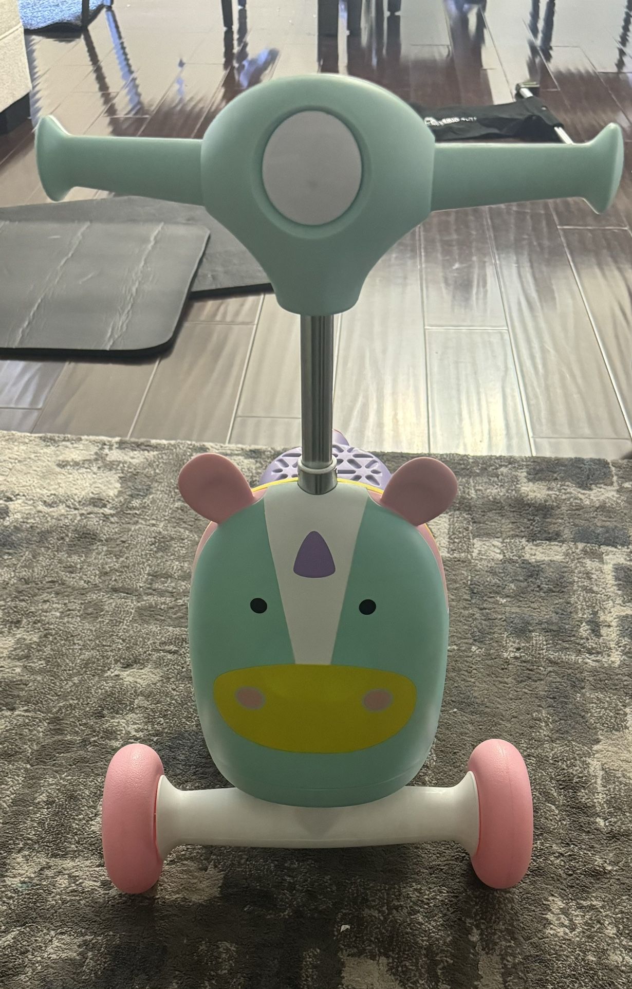 Skip Hop Toddler Scooter