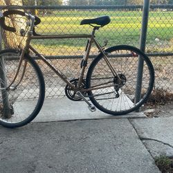 Used  UNIVEGA Bicycle 