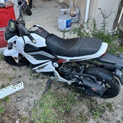 Grom Clone Scooter