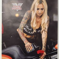 BACKSTREET CHOPPERS 2016 Poster 