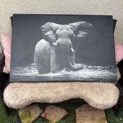 Elephant Picture