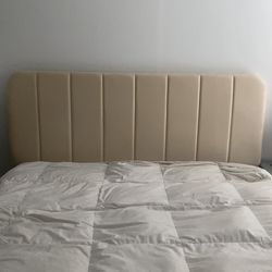 Beige Velvet Full Size Bed Frame w/ Upholstered Headboard – No Box Spring Needed