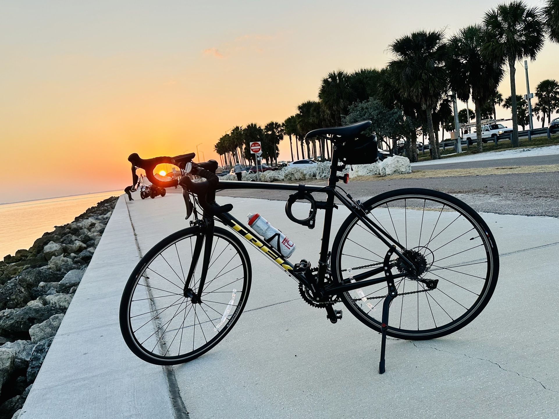 Trek Domane AL 2 - 56 Black Carbon Smoke