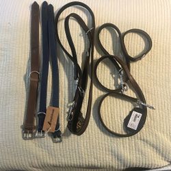 Collars and Leashes 