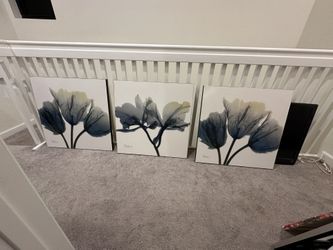 Canvas art (Set of 3)