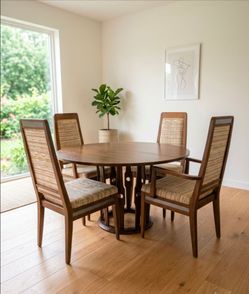 Mid century dining set