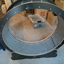 Cat Treadmill Wheel