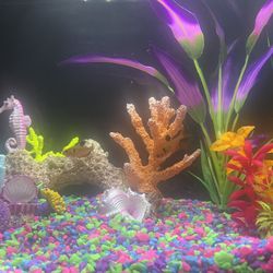 Ten-gallon Fish Tank Like New