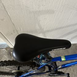 Blue Mountain Bike 20 Inches 