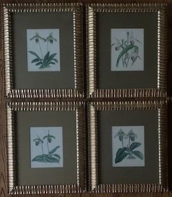 Hand Tinted Botanicals