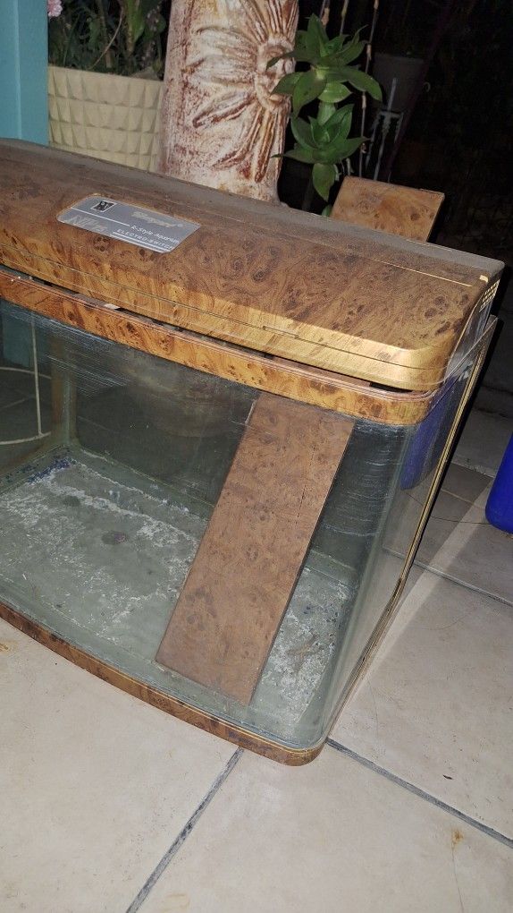 Fish Tank Nice