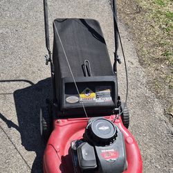 21" push mower with bag