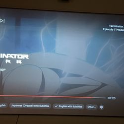 Fixed Gray Projector Screen 120”