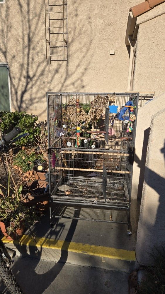 Bird Cage